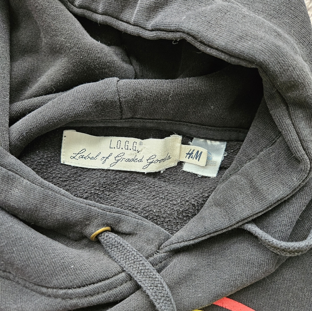 ⭐️4/$10-Jurassic Park Black Hoodie - Unisex - Picture 4 of 4